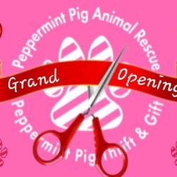 GRAND OPENING EVENT!! 06/29/2019