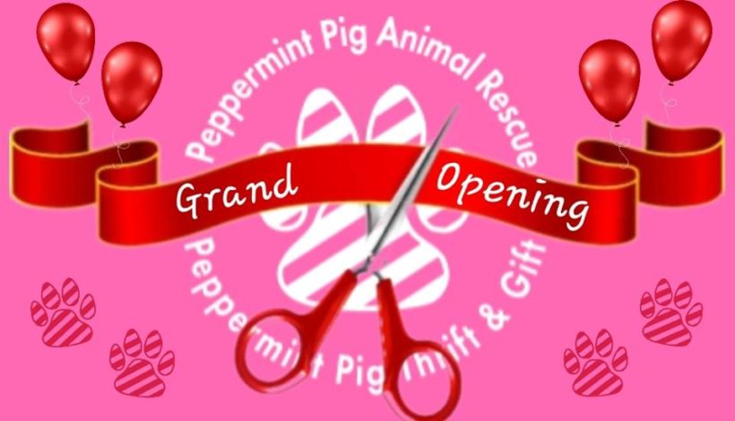 GRAND OPENING EVENT!! 06/29/2019